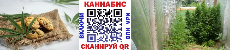 Купить закладки  Западная Двина  Еда ТГК марихуана 