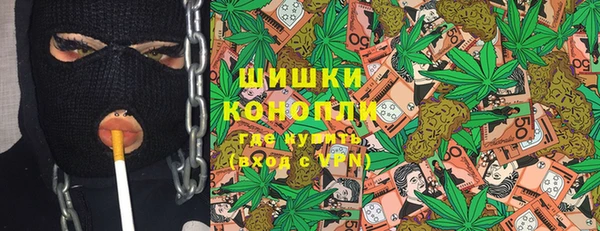сатива Ельня
