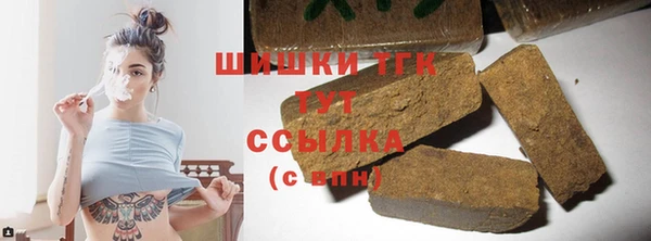 сатива Ельня