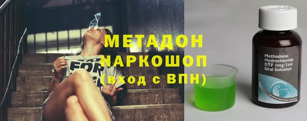 сатива Ельня