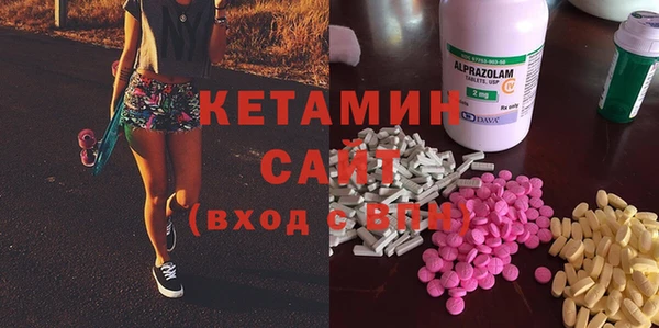 сатива Ельня