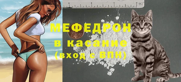 сатива Ельня