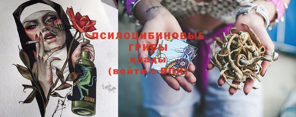 прущая мука Елабуга