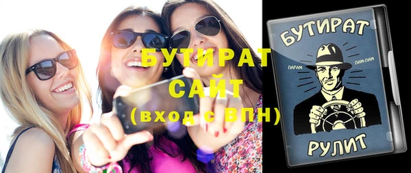 сатива Ельня