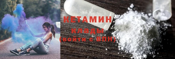 сатива Ельня