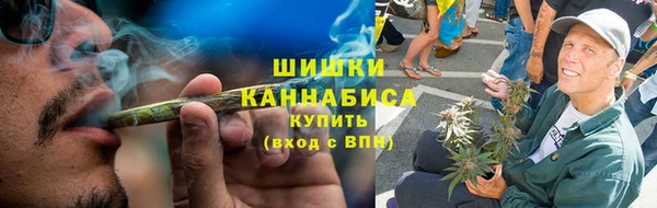 сатива Ельня