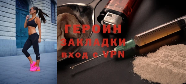 сатива Ельня