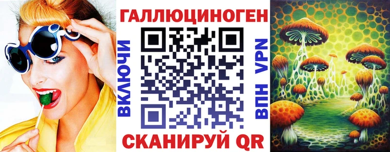 Купить где  Западная Двина  Псилоцибиновые грибы Psilocybe 